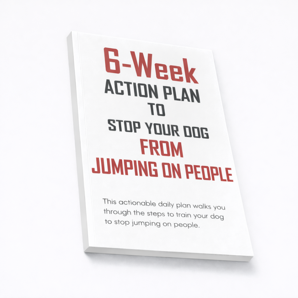 6-Week Action Plan to Stop Your Dog from Jumping on People