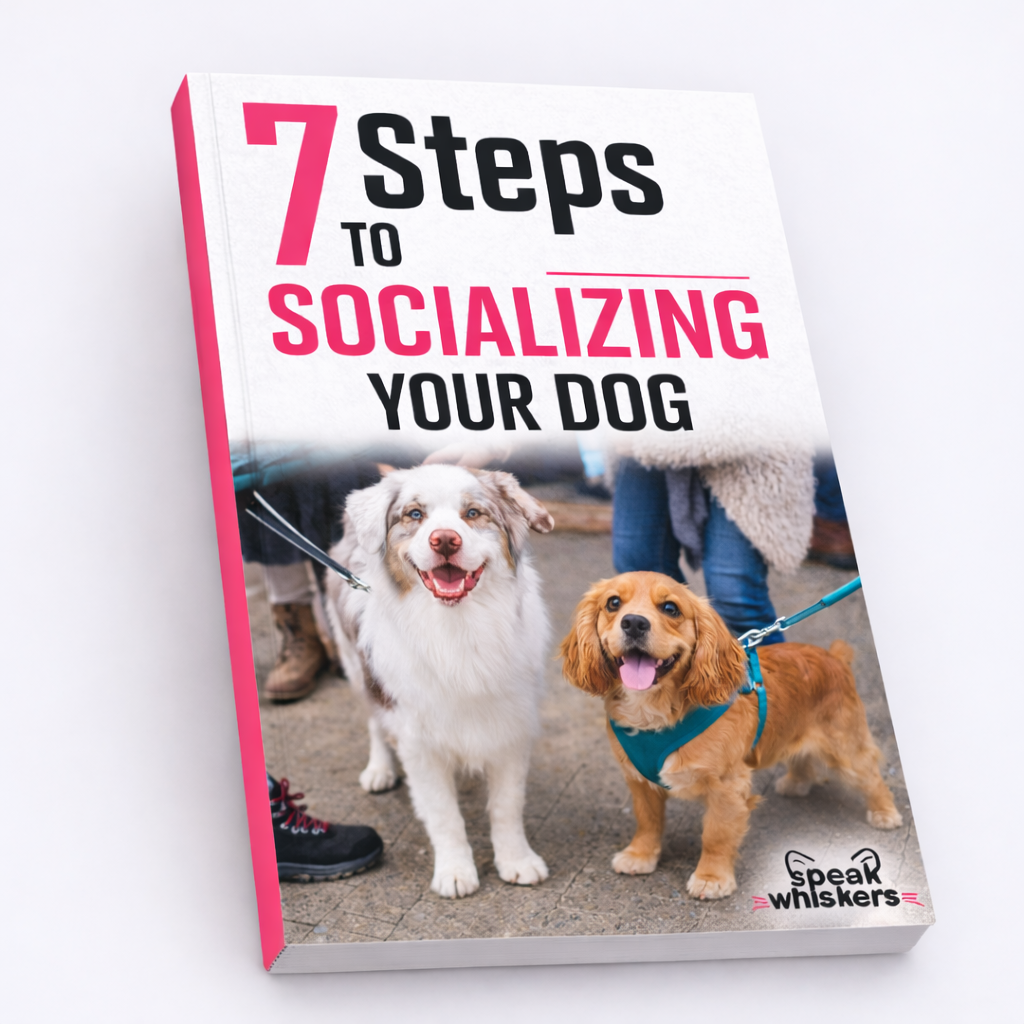 7 Steps to Socializing Your Dog