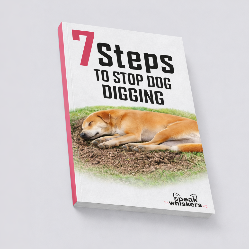 7 Steps to Stop Dog Digging