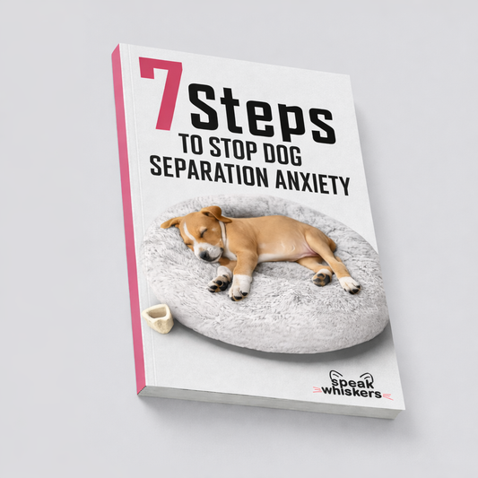 7 Steps to Stop Dog Separation Anxiety