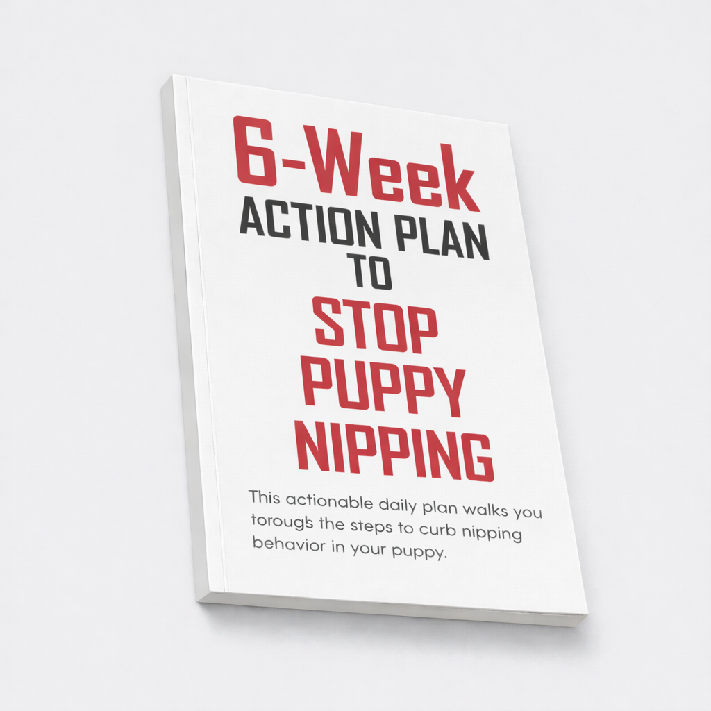 6-Week Action Plan to Stop Puppy Nipping