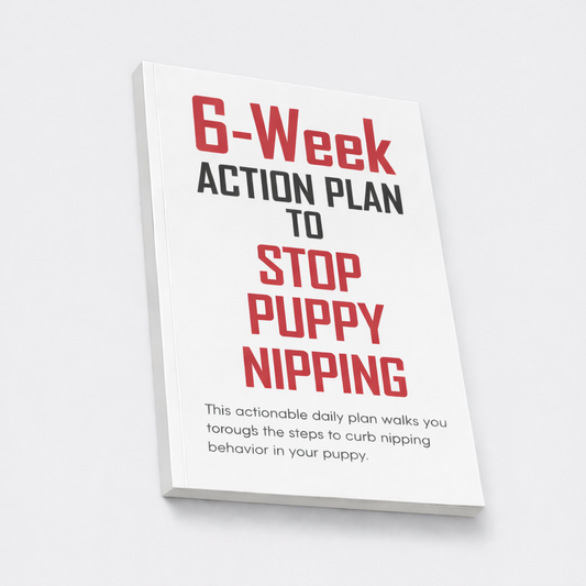 6-Week Action Plan to Stop Puppy Nipping