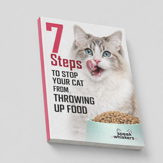 7 Steps to Stop Your Cat From Throwing Up Food