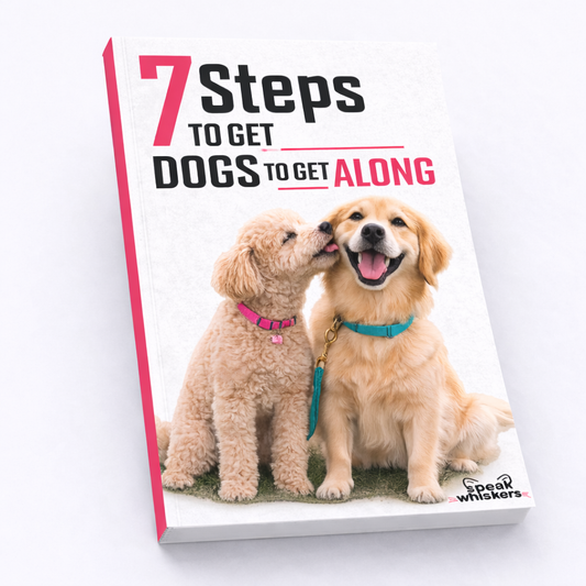 7 Steps to Get Dogs to Get Along
