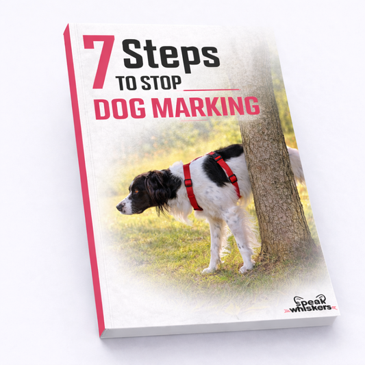 7 Steps to Stop Dog Marking
