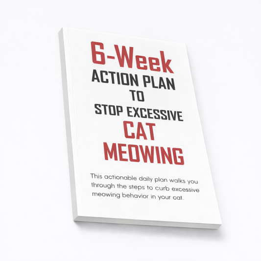 6-Week Action Plan to Stop Excessive Cat Meowing