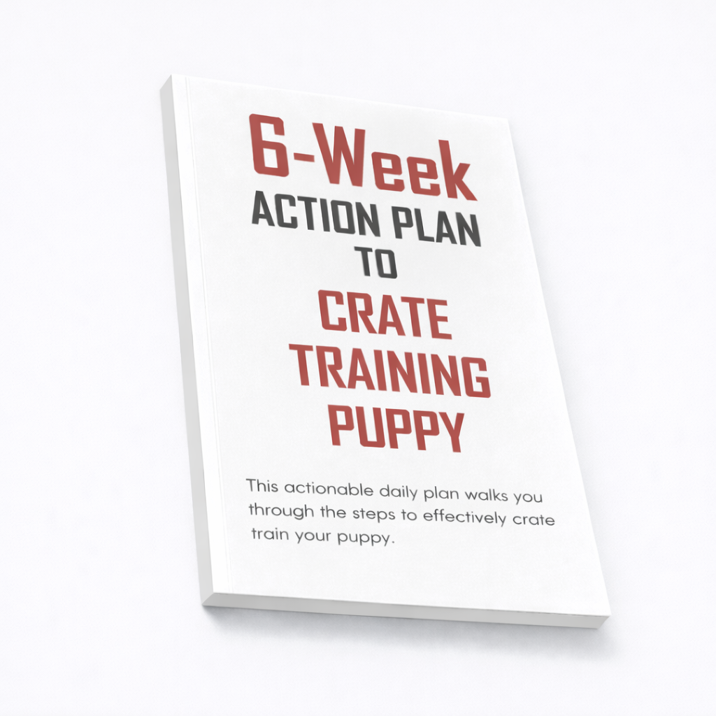 6-Week Action Plan to Crate Training Puppy