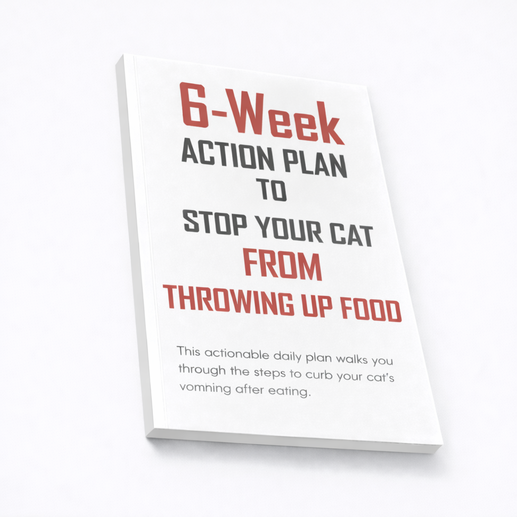 6-Week Action Plan to Stop Your Cat From Throwing Up Food