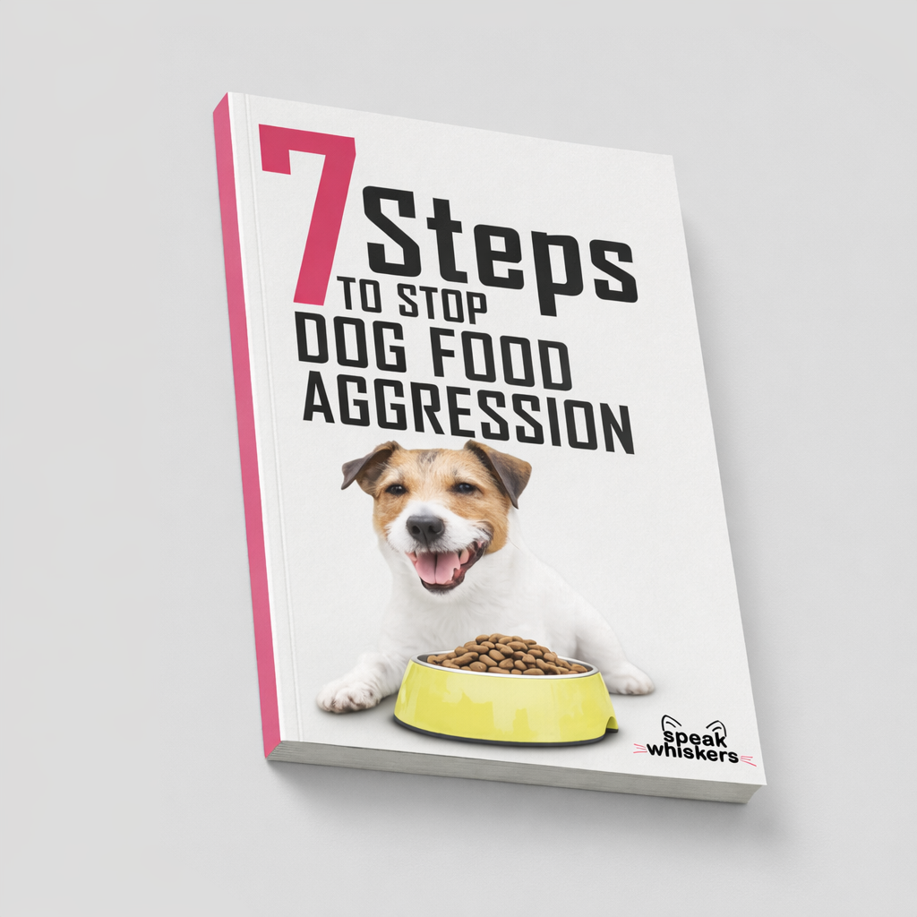 7 Steps to Stop Dog Food Aggression