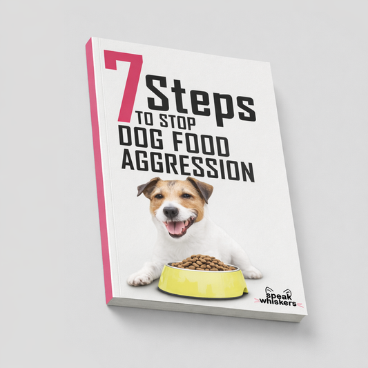 7 Steps to Stop Dog Food Aggression