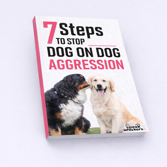 7 Steps to Stop Dog on Dog Aggression