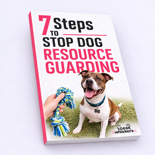 7 Steps to Stop Dog Resource Guarding