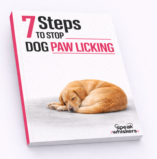7 Steps to Stop Dog Paw Licking