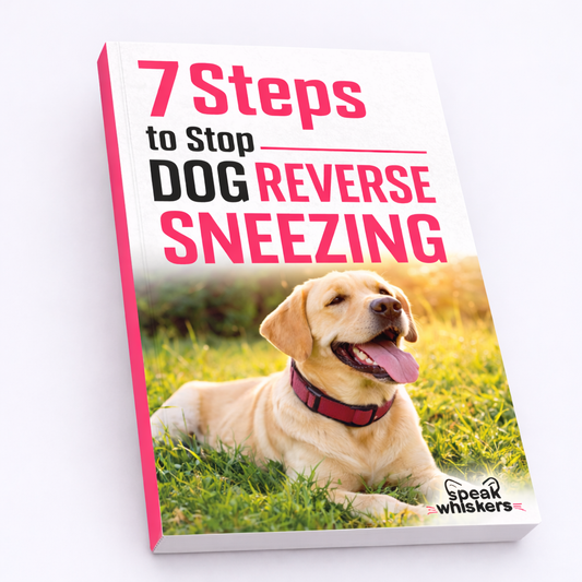 7 Steps to Stop Dog Reverse Sneezing