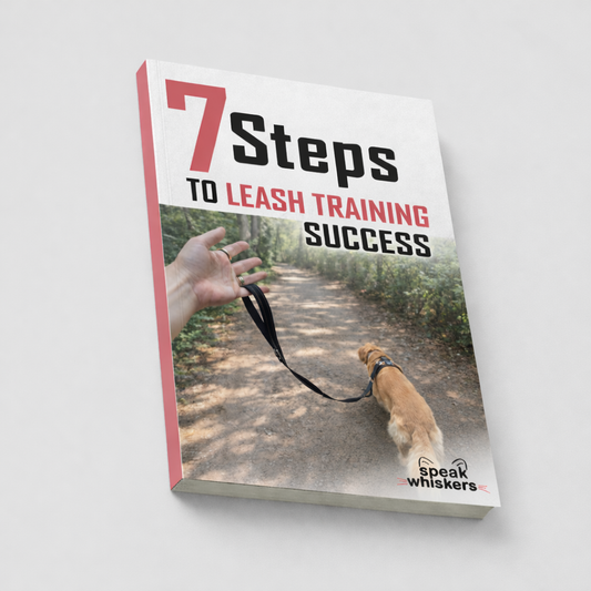 7 Steps to Leash Training Success