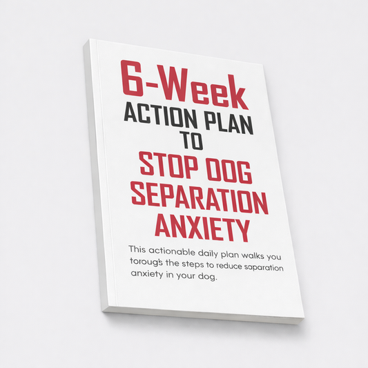6-Week Action Plan to Stop Dog Separation Anxiety