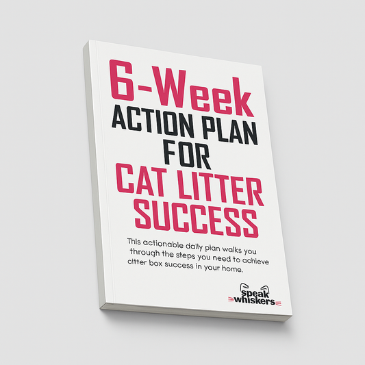 6-Week Action Plan for Cat Litter Success