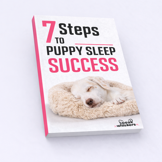 7 Steps to Puppy Sleep Success