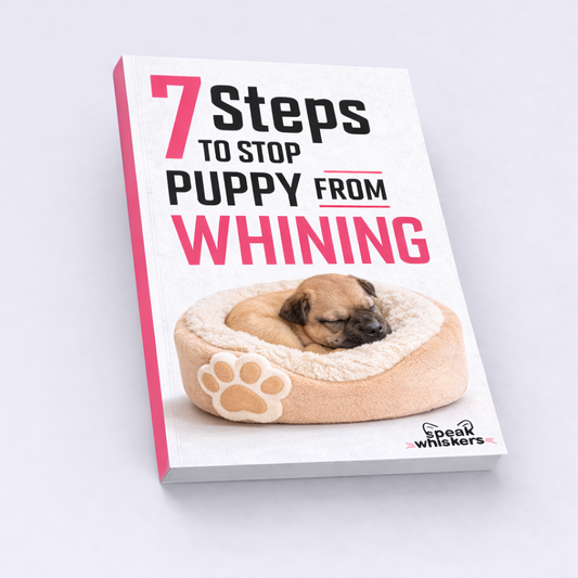 7 Steps to Stop Puppy from Whining