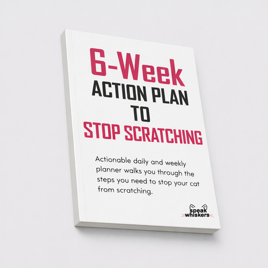 6-Weeks Action Plan to Stop Scratching