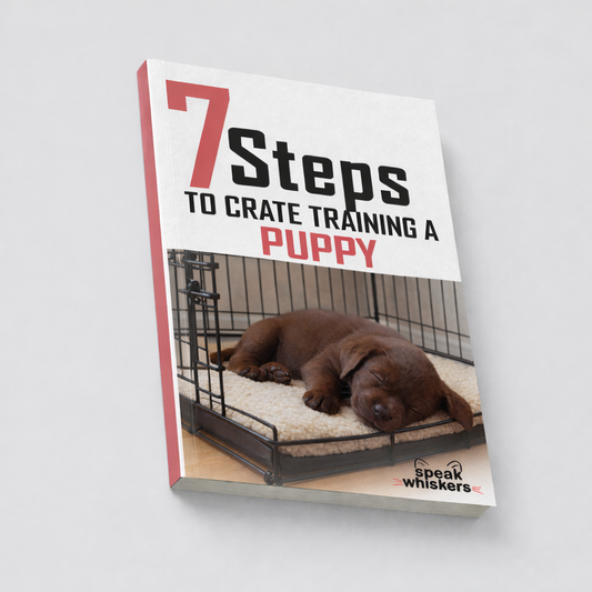 7 Steps to Crate Training a Puppy
